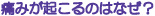 �ɂ݂��N����͉̂��́H
